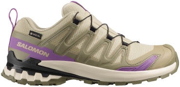 Кроссовки Salomon Xa Pro 3D V9 GTX зеленый