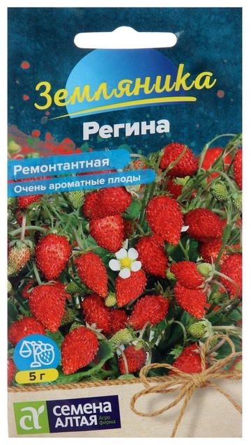 Семена Алтая земляника «Регина»