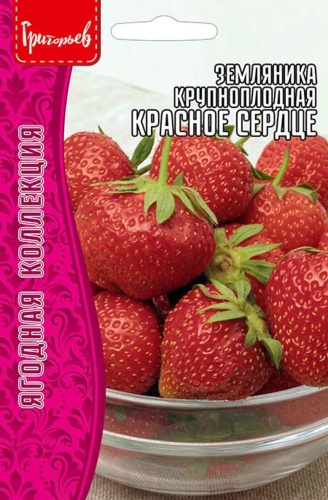 Григорьев земляника Красное Сердце Крупноплодная