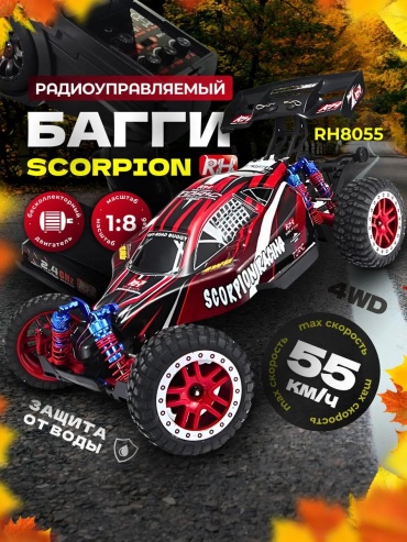 Машинка на радиоуправлении 77146C795259F82E