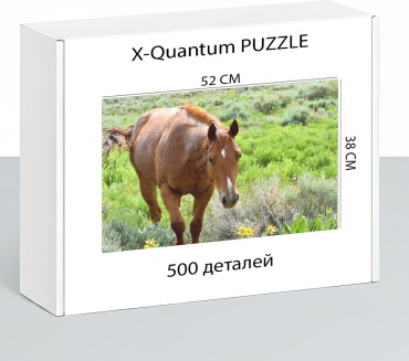 X-Quantum puzzle_aius1hcvy9 классический 500 деталей