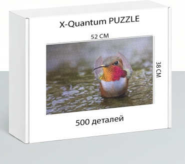 X-Quantum puzzle_zgroav23hh классический 500 деталей