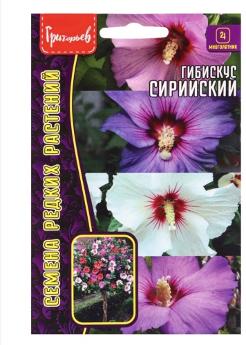 Григорьев гибискус Сирийский