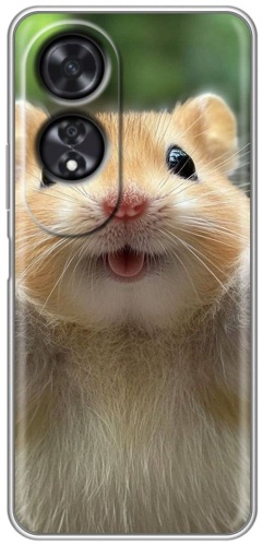 Чехол BAIKO для OPPO A60 рисунок