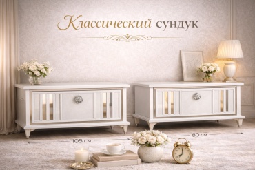 Сундук 500973456 белый, серебристый 260 л