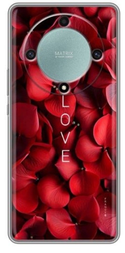 Чехол для Honor X9a рисунок