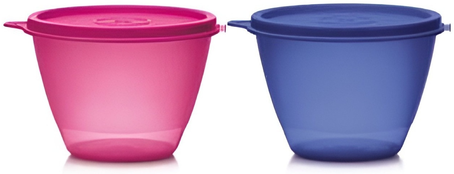 Tupperware набор контейнеров РП456 2 шт, полипропилен