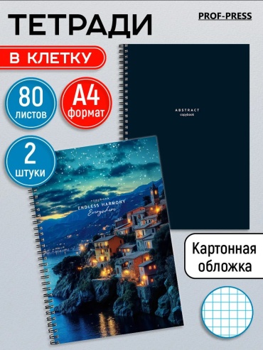 Общая тетрадь PROF PRESS Тетрадь А4 в клетку 80 листов на пружине 2 штуки, 80 л, А4, клетка, мягкая обложка, 2 шт
