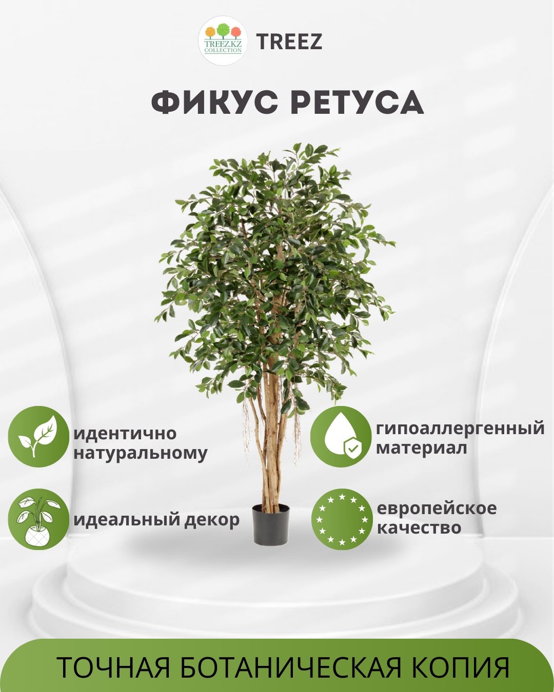 Дерево Treez фикус 180 см, 10.32906N