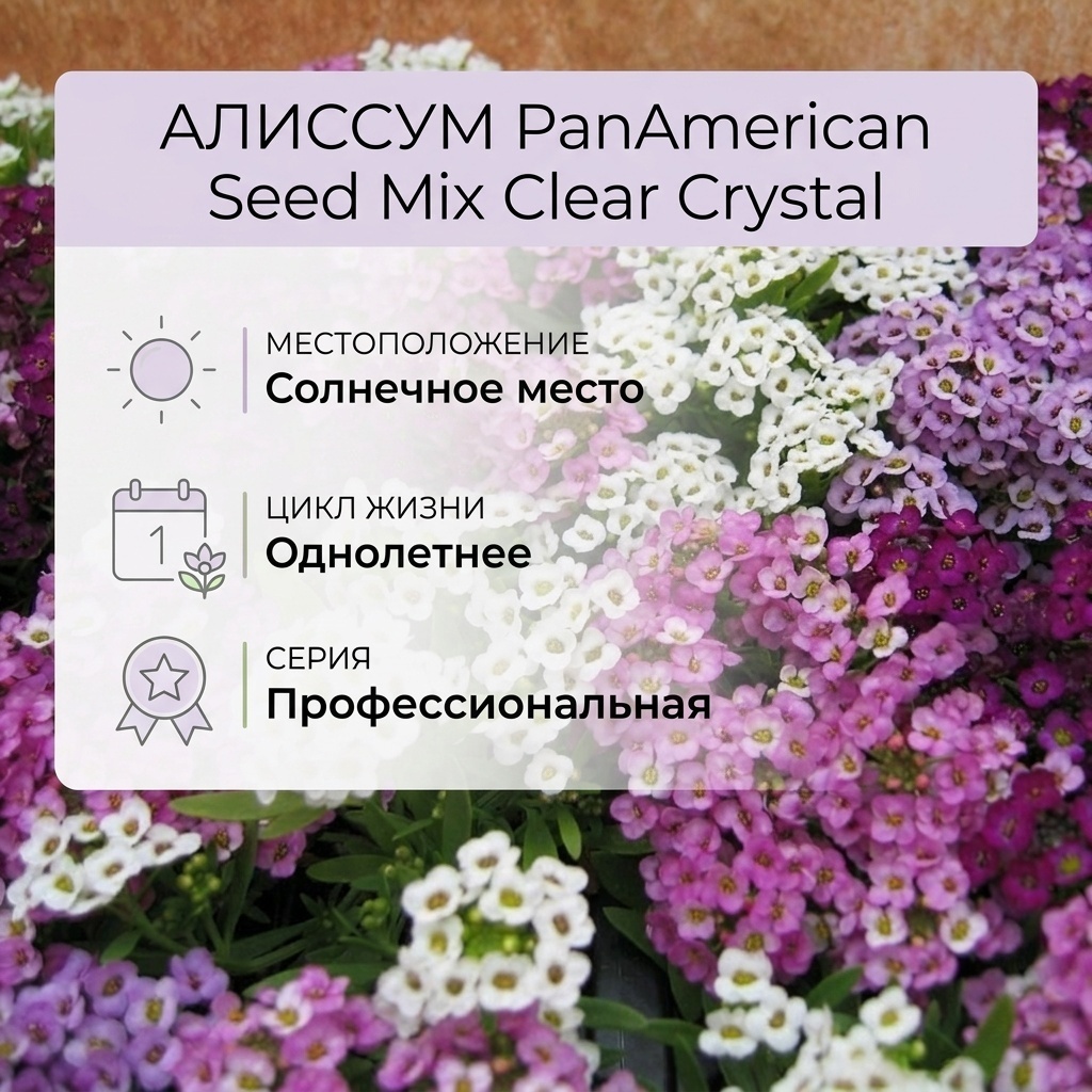PanAmerican Seed алиссум Mix Clear Crystal