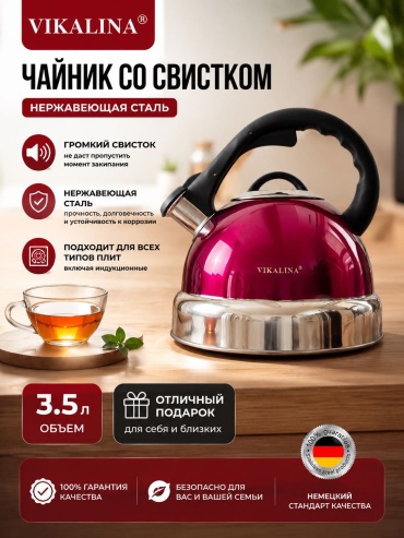 VIKALINA чайник 3584383865 3.5 л, нержавеющая сталь