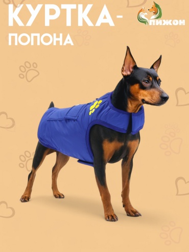 Пижон попона 10572178 синий M