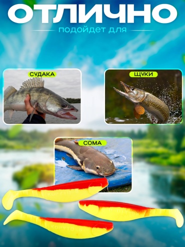 Фото 3