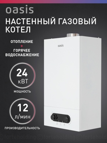Газовый котел Oasis KK-24 с дымоходом