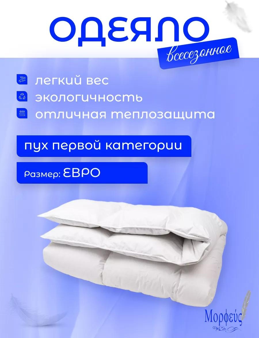 Одеяло FEE12B86A9937DF6 200x220 всесезонное