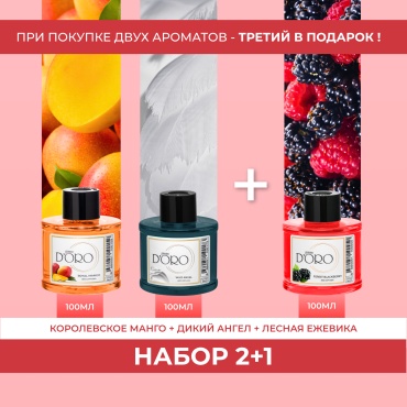 Диффузор с палочками Gamma D'ORO манго, ангел, ежевика 100 мл