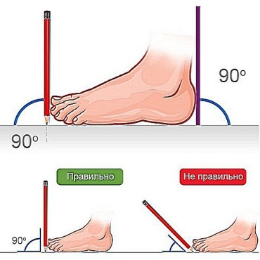 Фото 6