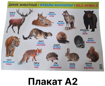 Плакат Дикие животные, A2, бумага