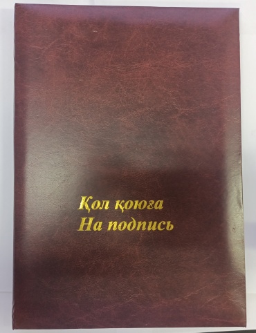 Папка ANEL А4 1 шт