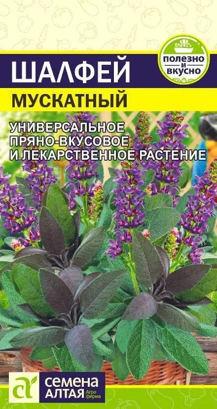Семена Алтая микрозелень Шалфей Мускатный
