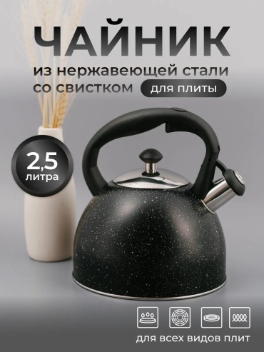 Astix чайник 220360264 2.5 л, сталь