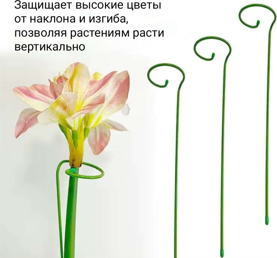 Фото 3