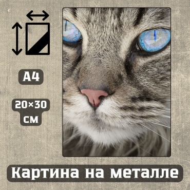 Sequoia VERS картина Картина на металле а4 Дыхание природы 20*30см 20x30 см