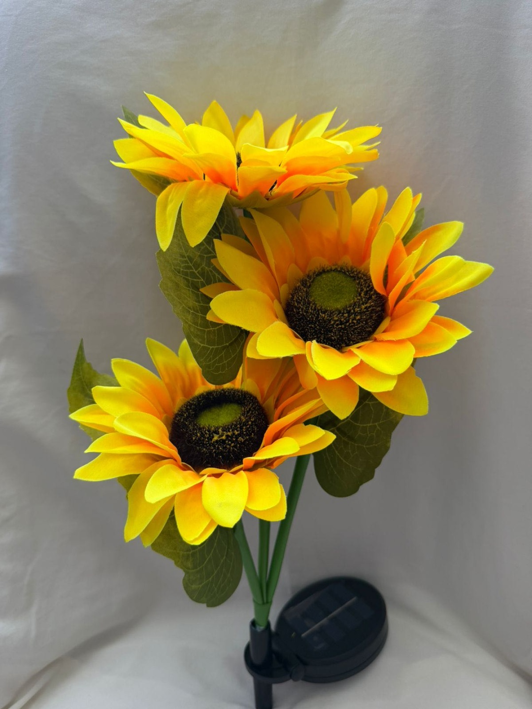 Фото 3