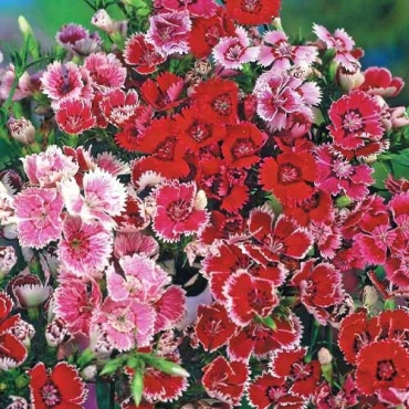 Фото 2