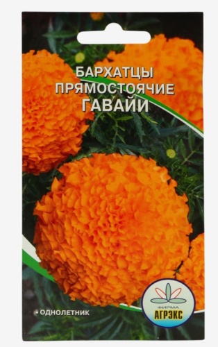 Агрэкс бархатцы Прямостоячие Гавайи