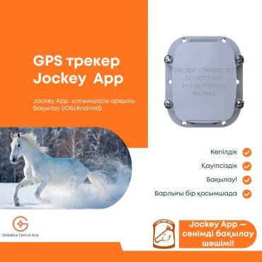 Globalstar 0-5037605 GPS