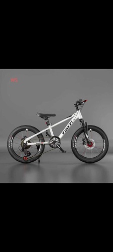 Велосипед Tinyti WS20 2025 13 дюймов белый