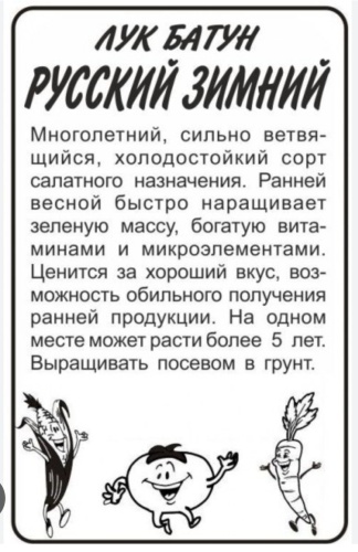 Семена Алтая лук на перо Русский зимний