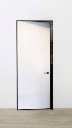Terem Secret 54 700х2000 мм, скрытого монтажа, распашная