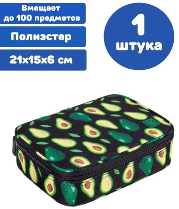 Пенал Brauberg 162203916, застежка молния, черный