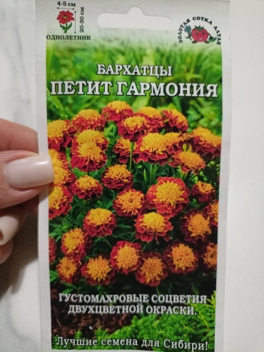 Золотая сотка Алтая бархатцы Петит Гармония