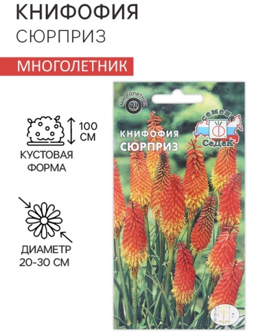 СеДеК книфофия «Сюрприз»