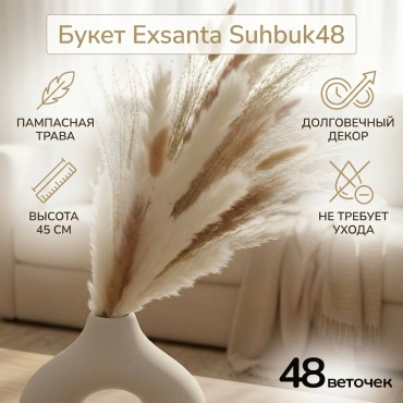 Букет Exsanta сухой букет 45 см, Suhbuk48