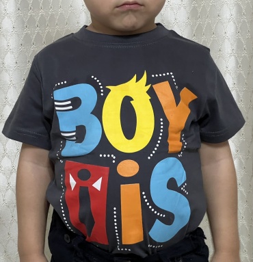 Футболка CHASTE kids серый