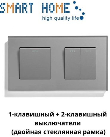 Выключатель клавишный SMART HOME MP001_MP004_M1-2F_GR, серый