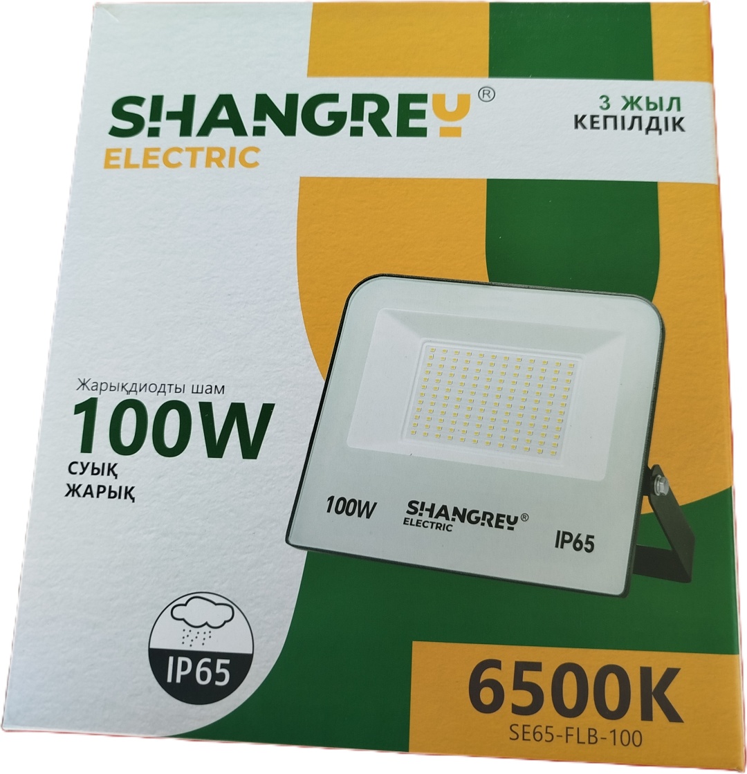 Прожектор на дуге крепления SHANGREY electric 100 Вт, холодный белый