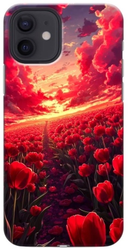 Чехол BAIKO для Apple iPhone 11 рисунок