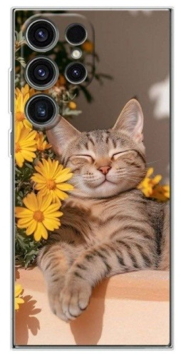 Чехол BAIKO для Samsung Galaxy S25 Ultra рисунок