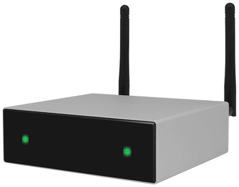 Сетевой проигрыватель DSPPA DW0250 серый