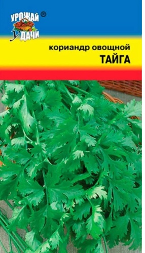 Урожай удачи кориандр Тайга
