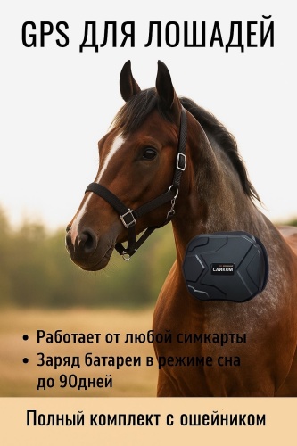 САЙКОМ GPS-трекер, вид животного: лошади, КРС