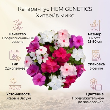 HEM GENETICS катарантус Хитвейв микс