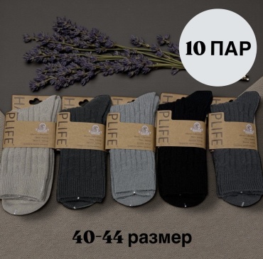 Носки SPEED WIN 10 пар черный, серый 40-44