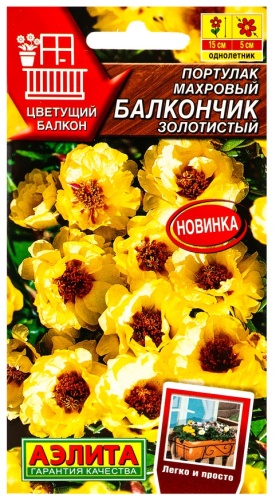 Аэлита портулак махровый Балкончик золотистый Цветущий балкон