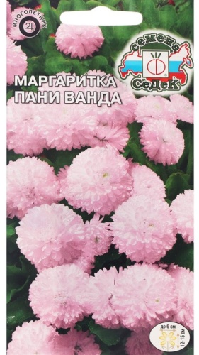 СеДеК маргаритка «Пани Ванда»